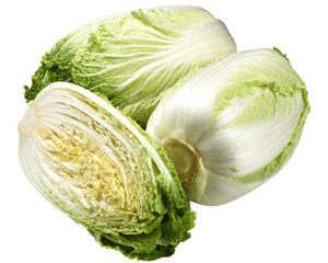 iWombok, a Chinese cabbage